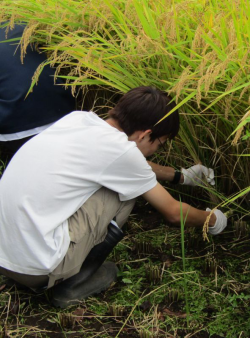 ○○○○○○○○イメージ