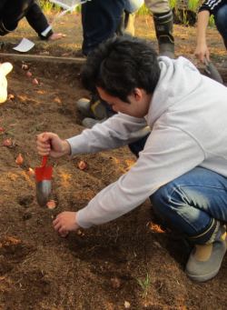 ○○○○○○○○イメージ