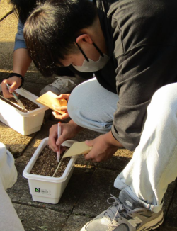 ○○○○○○○○イメージ