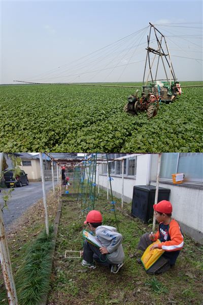 荒木祐二教授（研究室にて）