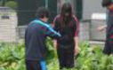 2012年度実習