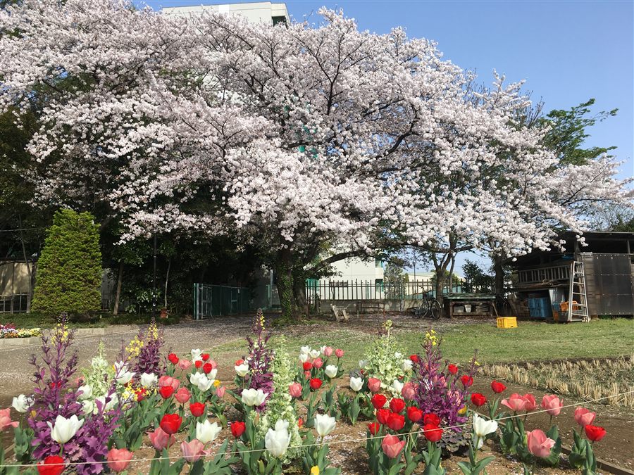 大久保農場の風景（2021年3月）