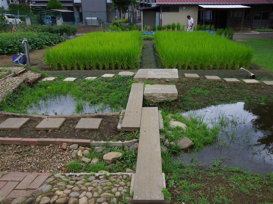 大久保農場の風景（2016年8月）