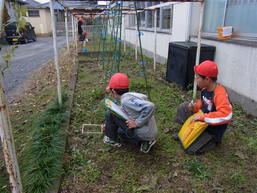 フィールド実習の様子（2011年12月）