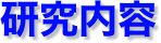 研究内容
