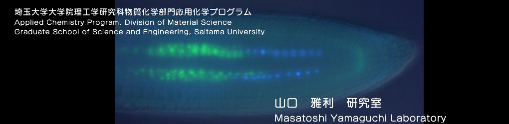 ホリデイ・トレッキング・クラブ