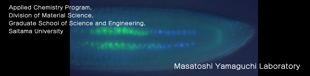 ホリデイ・トレッキング・クラブ
