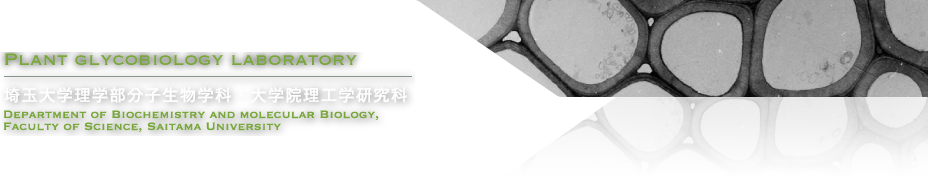 植物糖鎖研究室