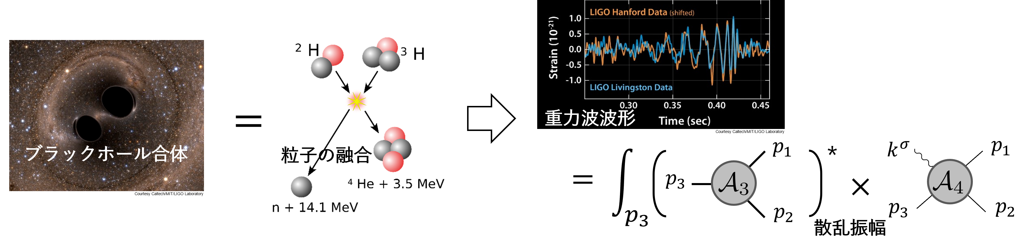 lab_aokisan